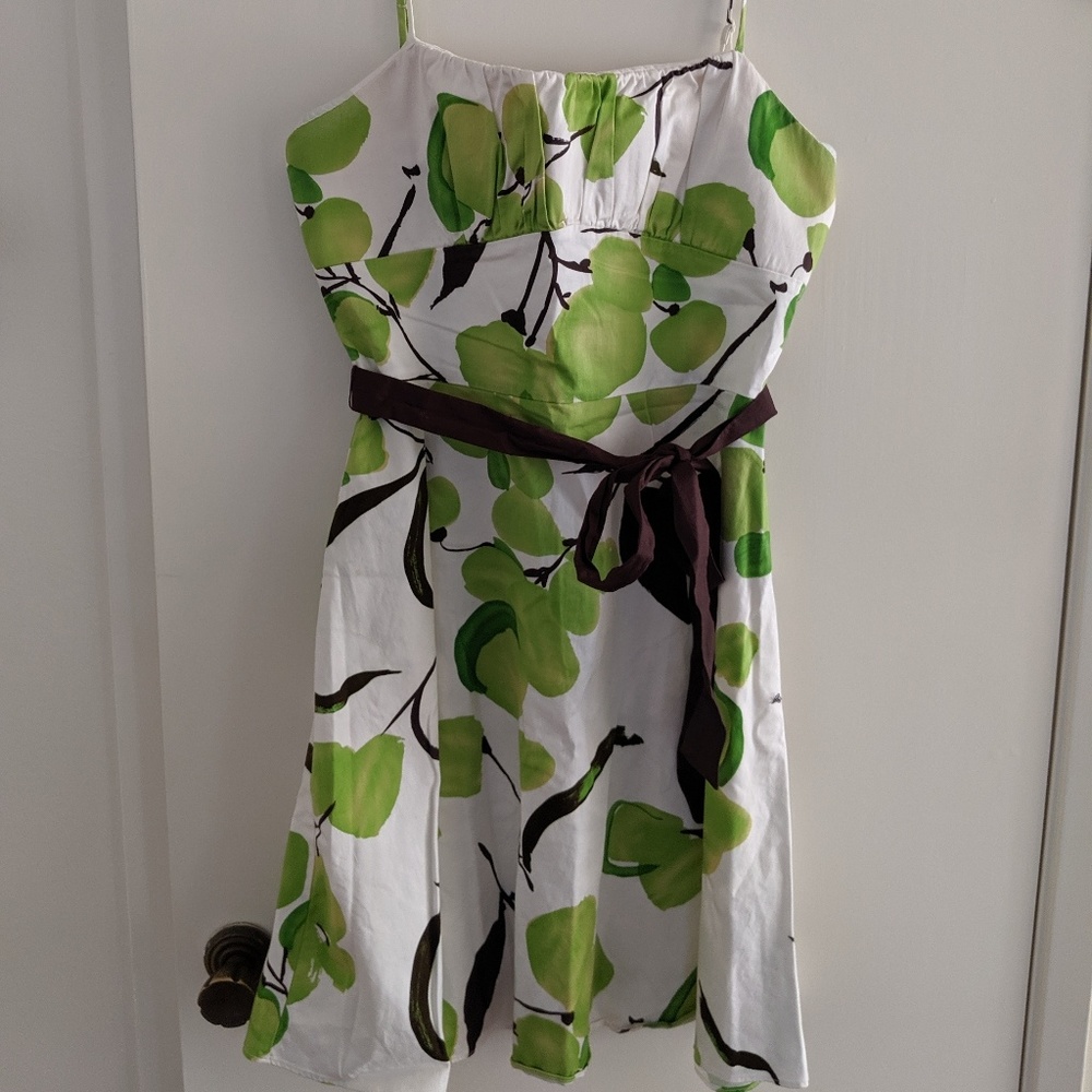 Women's Dress w/ Detachable Belt